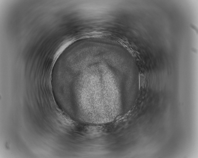 X0000096210147200802081510