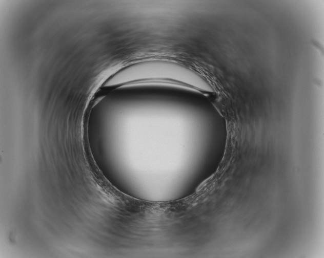 X0000096210148200802081510