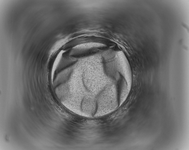 X0000096210149200802081510