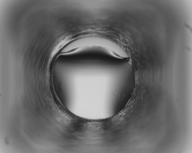 X0000096210150200802081510