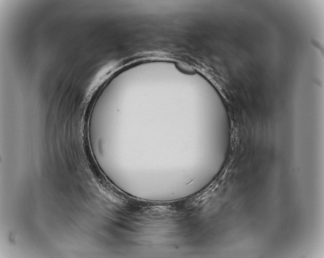 X0000096210151200802081510