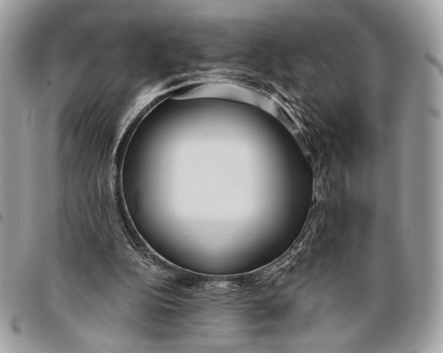 X0000096210152200802081510