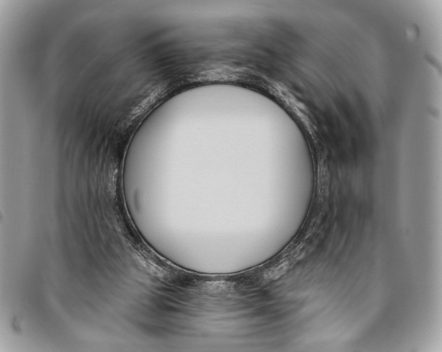 X0000096210153200802081510