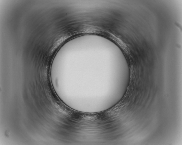 X0000096210155200802081510