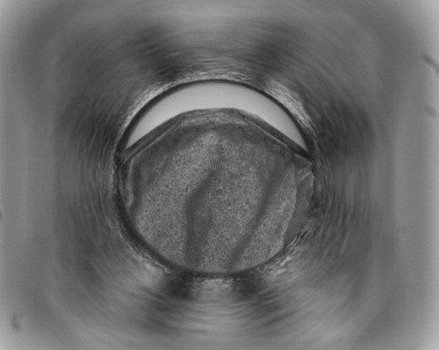 X0000096210156200802081510