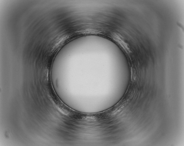 X0000096210157200802081510