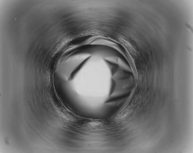 X0000096210158200802081510