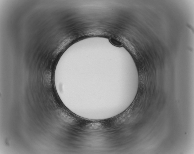 X0000096210159200802081510