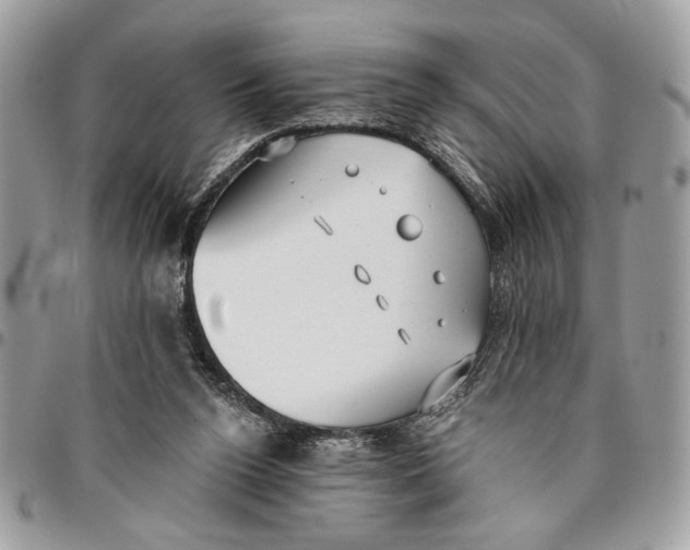 X0000096210160200802081510