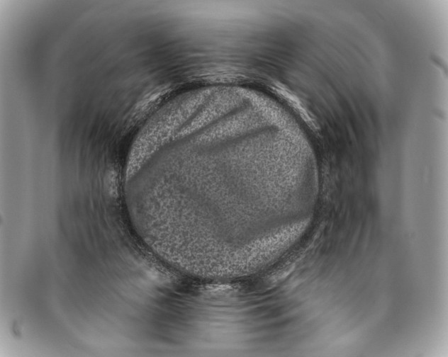 X0000096210161200802081510