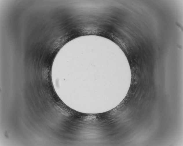 X0000096210162200802081510