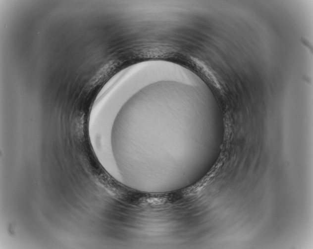 X0000096210163200802081510