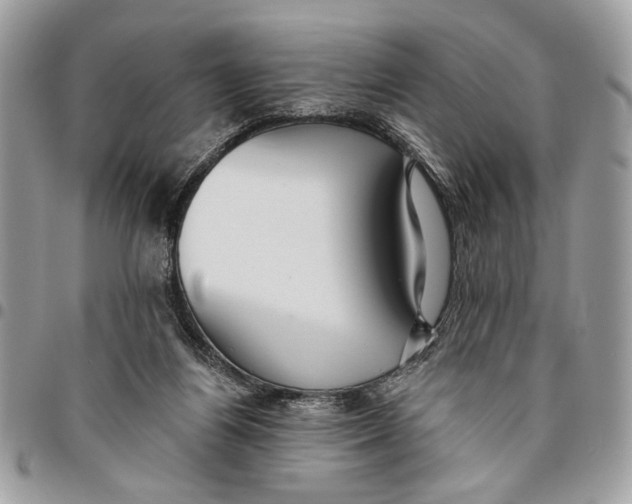 X0000096210164200802081510