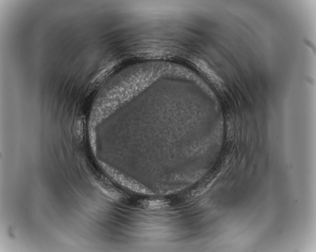 X0000096210165200802081510