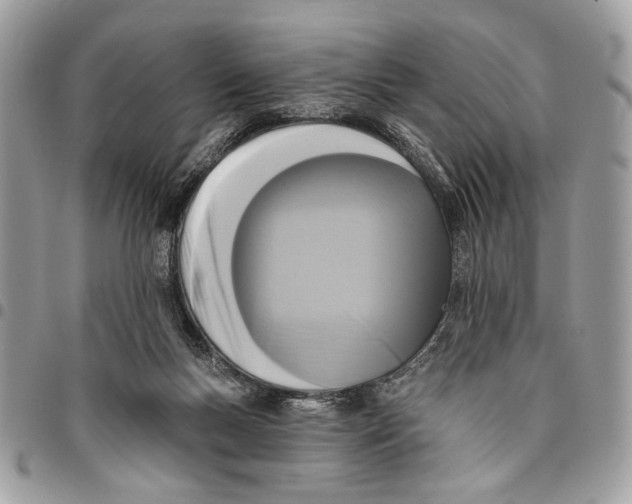 X0000096210167200802081510