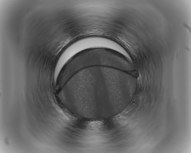 X0000096210168200802081510