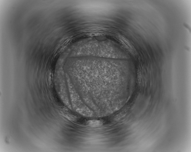 X0000096210169200802081510