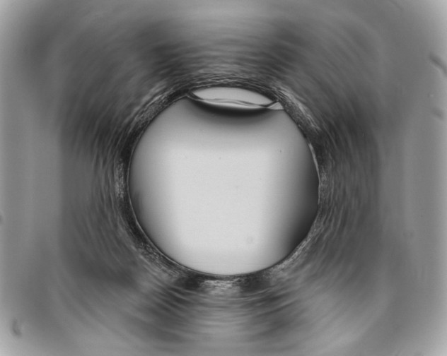 X0000096210170200802081510