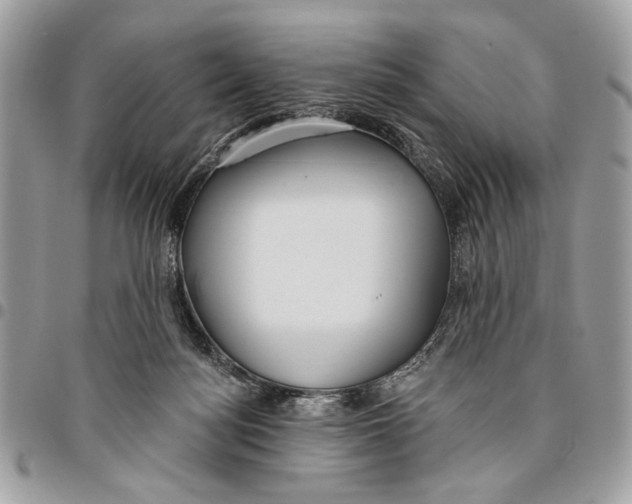 X0000096210172200802081510