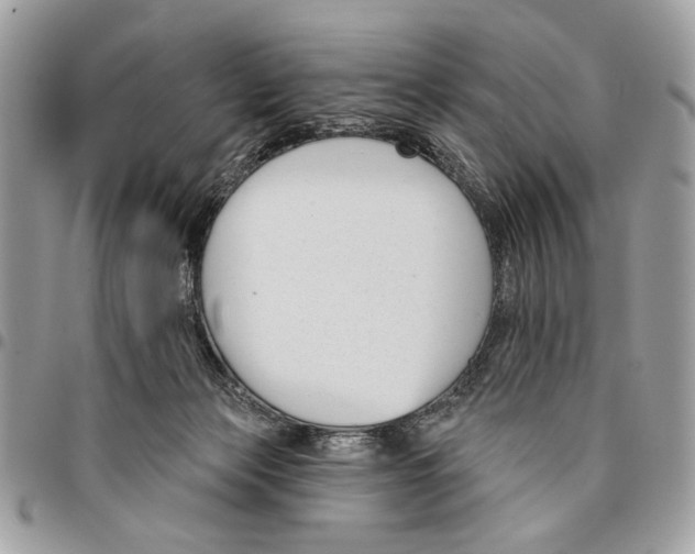 X0000096210173200802081510