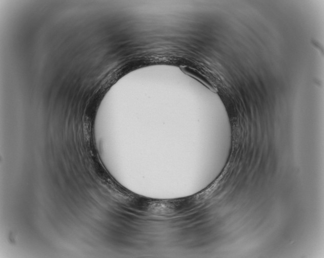 X0000096210174200802081510