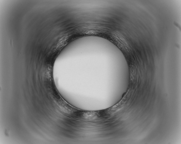 X0000096210175200802081510