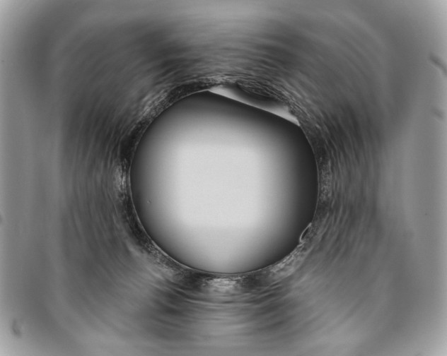 X0000096210176200802081510