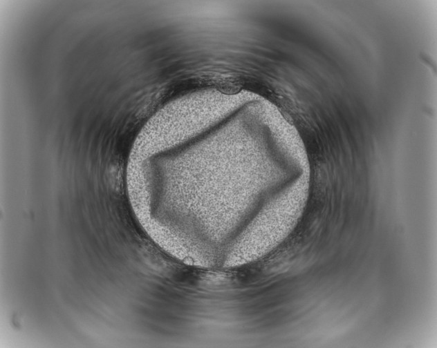 X0000096210177200802081510