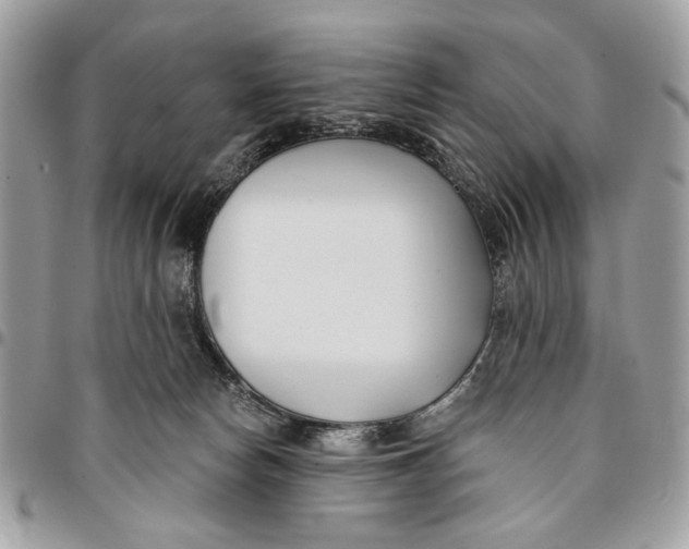 X0000096210178200802081510