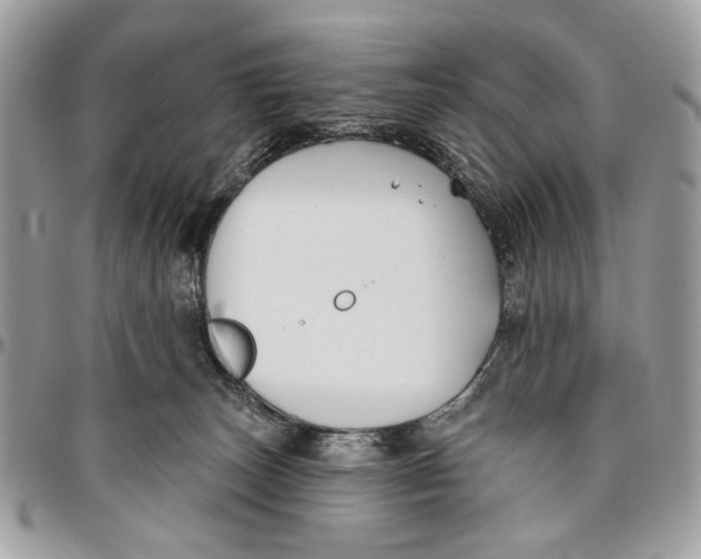 X0000096210179200802081510