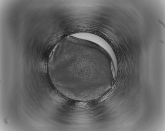 X0000096210180200802081510