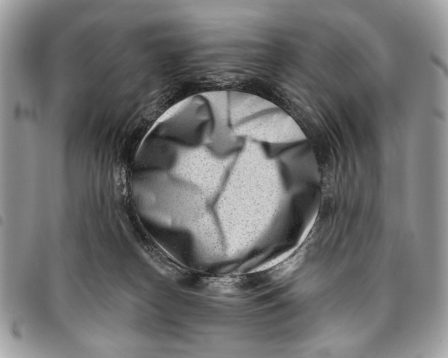 X0000096210182200802081511