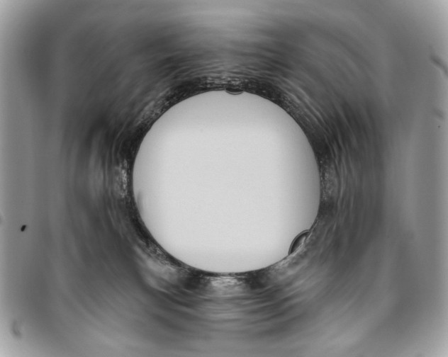 X0000096210183200802081511