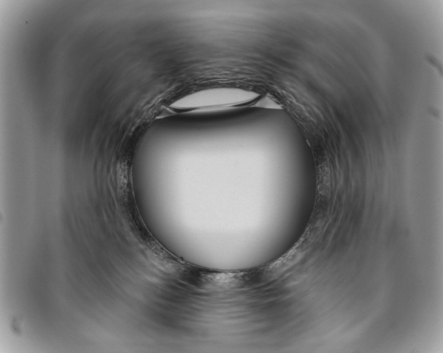 X0000096210184200802081511