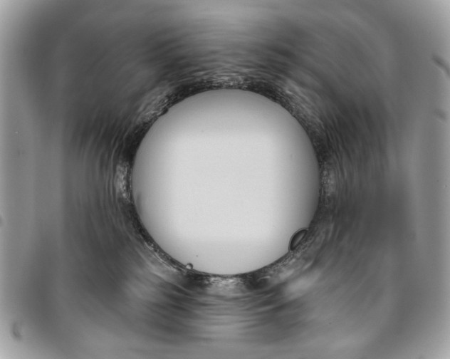 X0000096210185200802081511