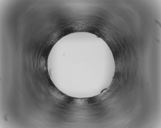 X0000096210187200802081511