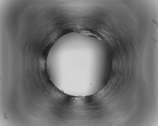 X0000096210188200802081511