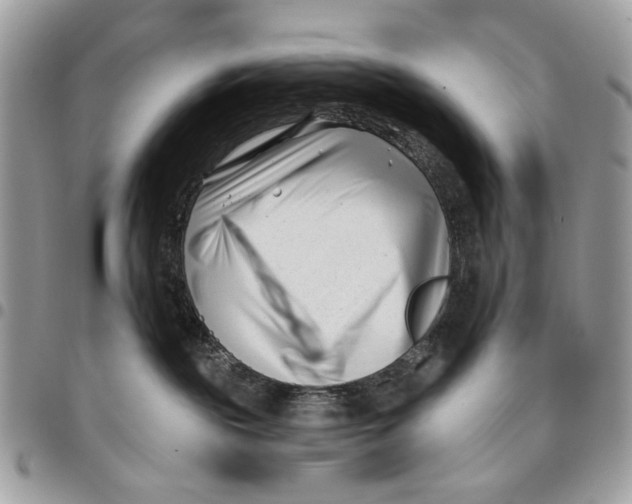 X0000096210189200802081511