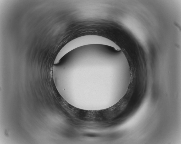 X0000096210190200802081511