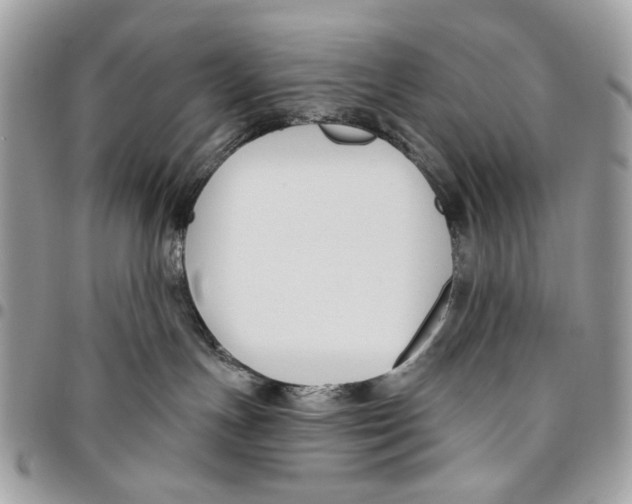 X0000096210191200802081511