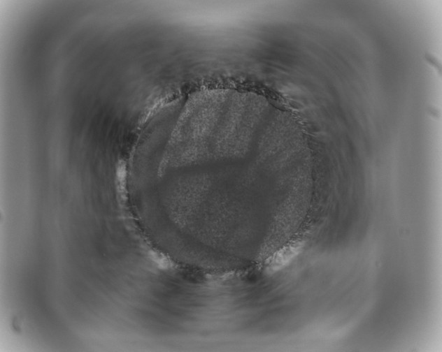 X0000096210192200802081511