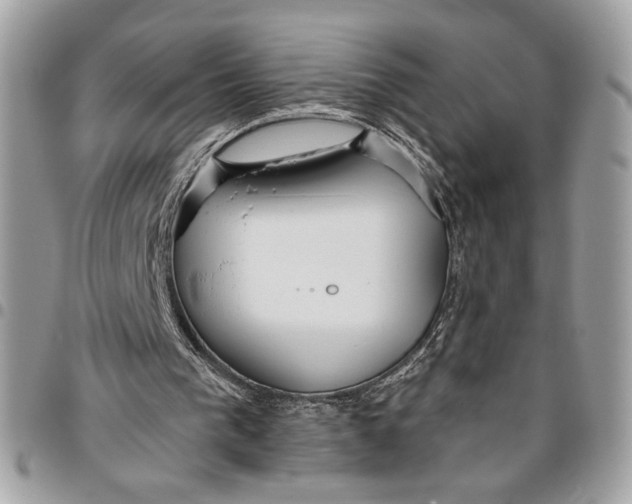 X0000096210193200802081510