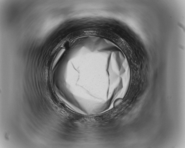 X0000096210194200802081510