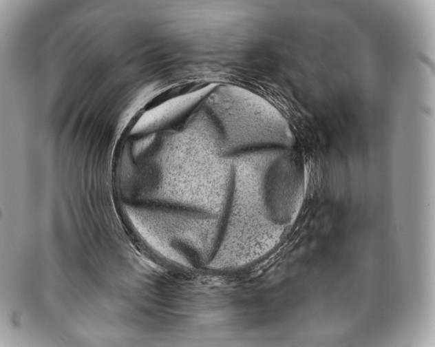 X0000096210195200802081510