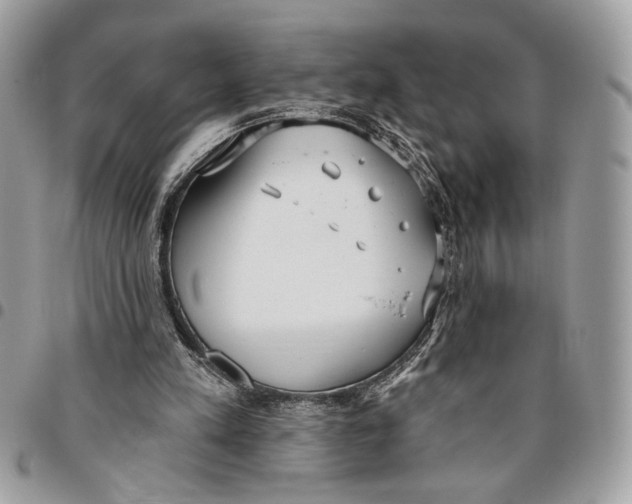 X0000096210197200802081510