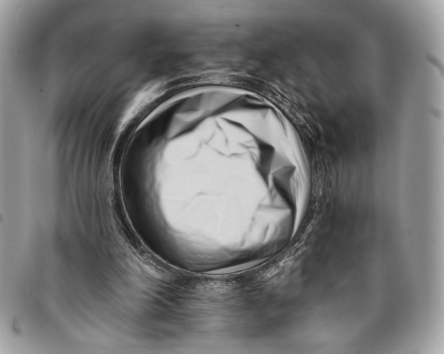 X0000096210198200802081510