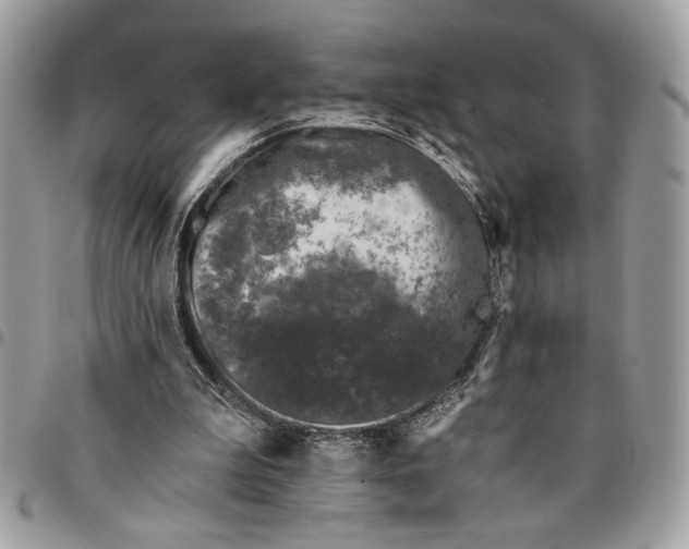 X0000096210199200802081510