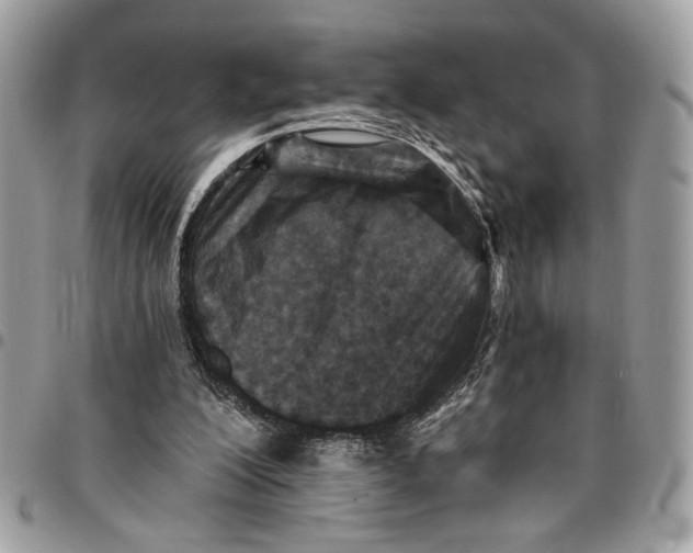 X0000096210200200802081510