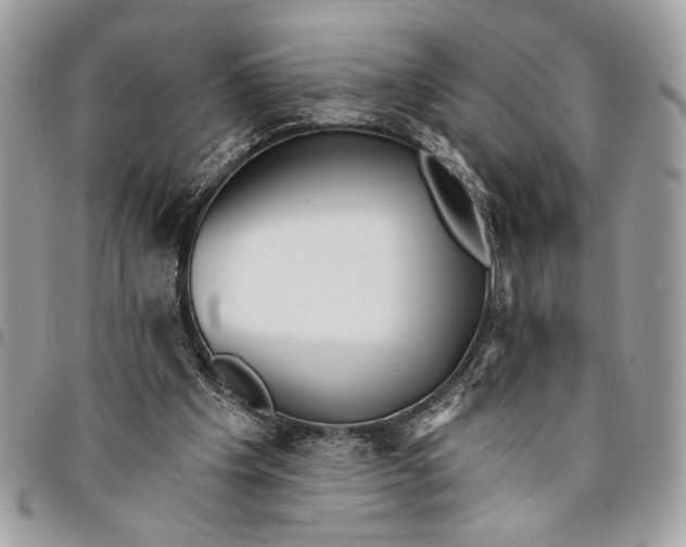 X0000096210201200802081510