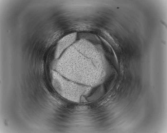 X0000096210202200802081510